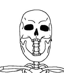 A24 skeleton.png