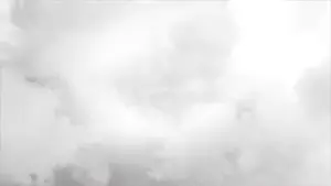 bernd, hanging troonjak, troonjak, 7clouds, ack, animated, anime, arm, bloodshot eyes, bouncing