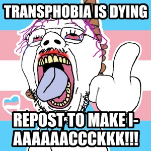 transphobia is dying.png
