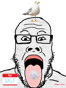 salt admin.png
