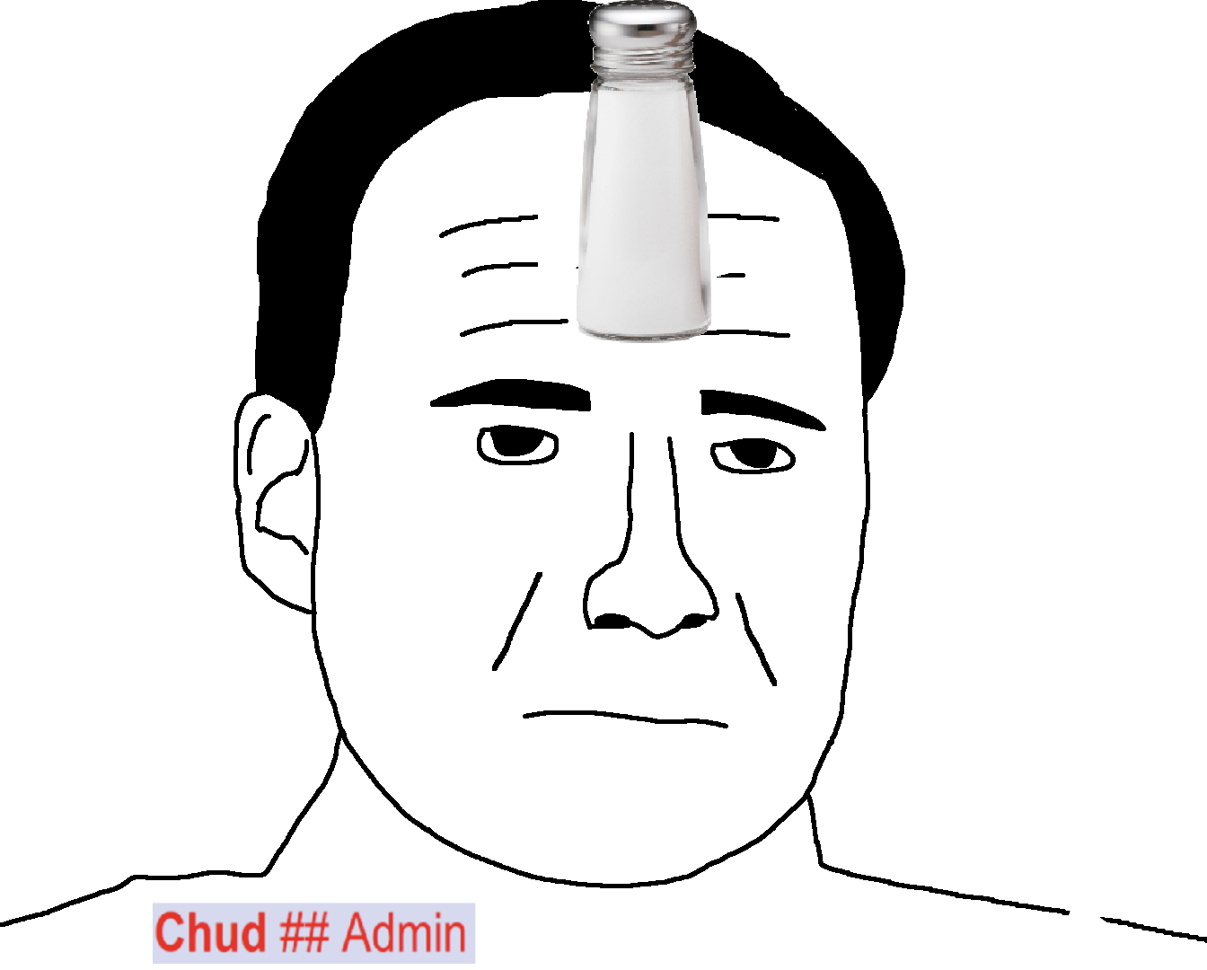 chudjak, budjak, admin, black eyes, black hair, chud##admin, closed mouth, fat, front view, hair