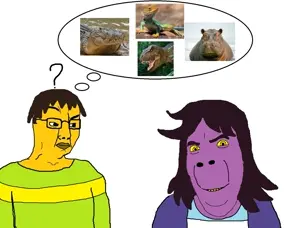 HPWLqB9agAA8JpC.jpeg