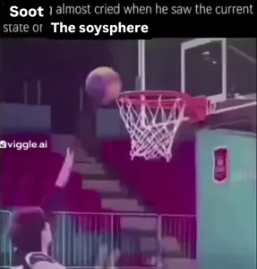 ssstwitter.com_1786392893681.mp4