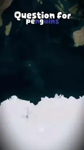 youtube-RZgtcDyD0FI.4054715b.mp4