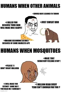 so-called-indomitable-human-spirit-when-tiny-frail-insect-v0-rod0bx641cih1.webp