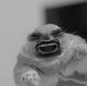 giga cute chonker.png