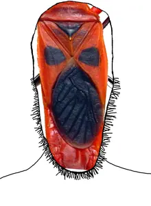 beast bug.png
