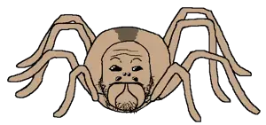 neutralwolfspider.png