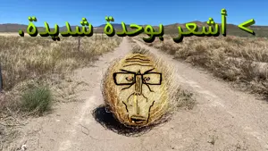 tumbleweedeuro2.png
