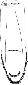 cobson, hornyson, bald, biting lip, black eyes, deformed, distorted, half open mouth, horny, looking to the left