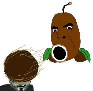 dcsqvfwgehrjvbgdfnhfgdfg.png