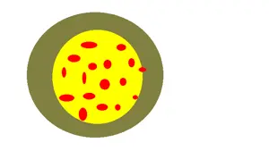 untitled (3).png
