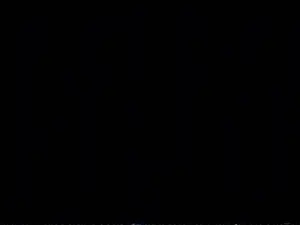 ADMIN6.gif