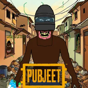 pubjeet.png