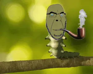 640 sin título_20260817181640.png