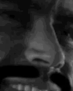 tenor (4).gif