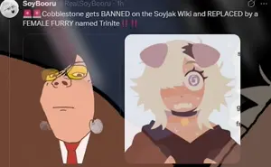 TCD.mp4