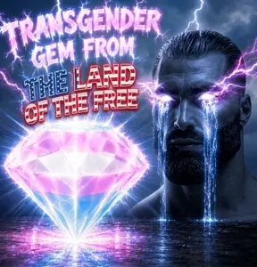 Gemini_Generated_Image_vwhewzvwhewzvwhe.jfif