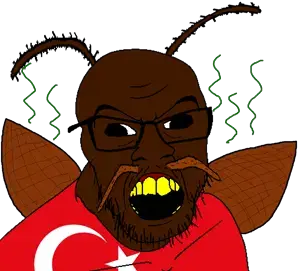 turknigger.png