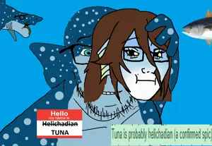 HELICHADIANISTUNA.png