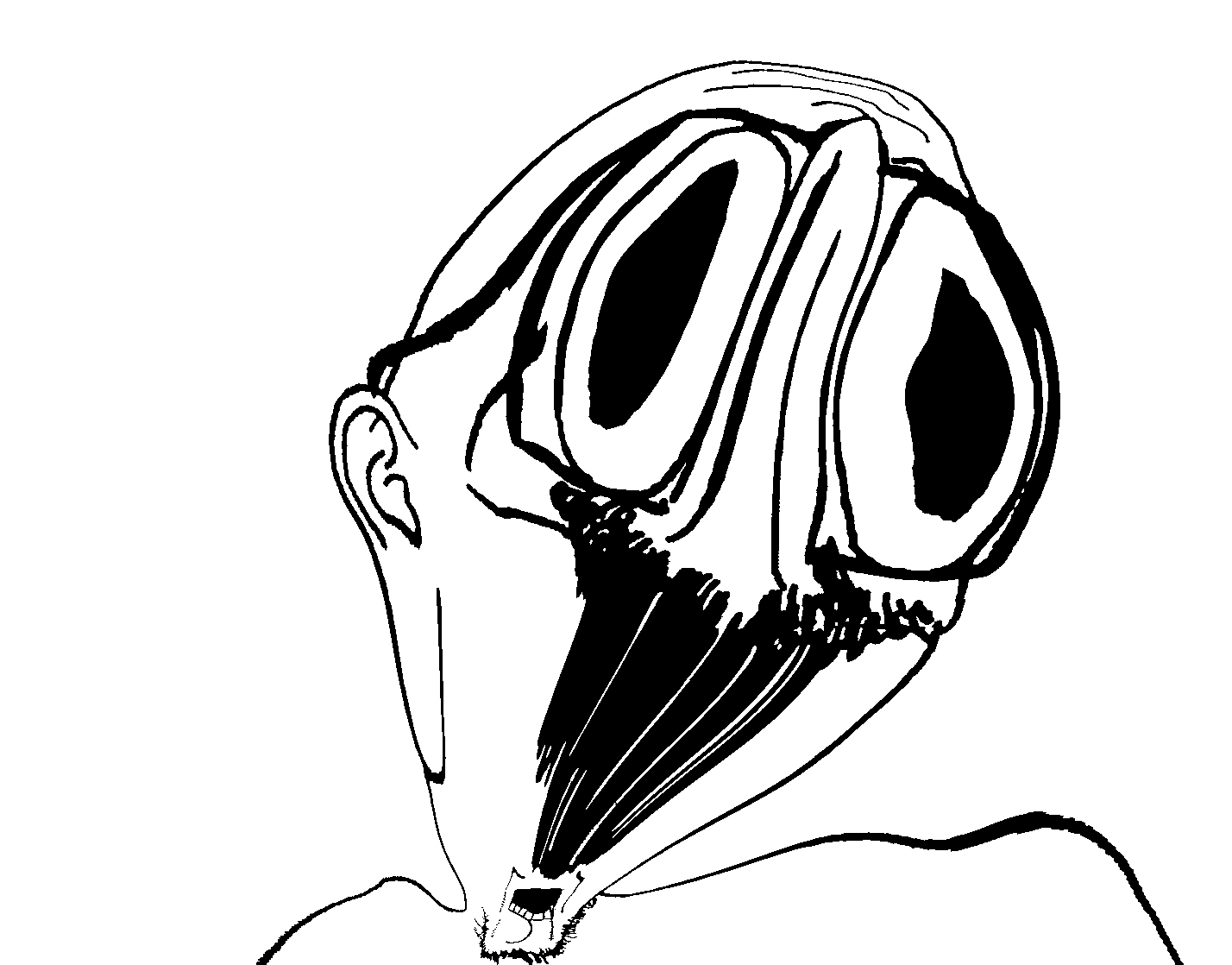mario, the glitch, unknown, the lobe, 1soyjak, aliased, big eyes, brimstone winter, bulge, deformed