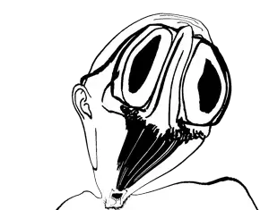 Untitled292_20260821214551.png