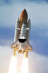 Rocket Feral.png