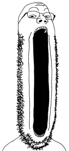 IMG_3904.png