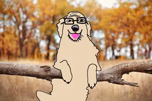dog.png