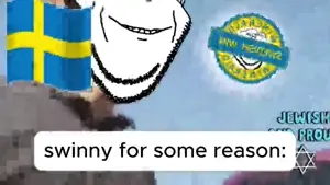 swinnywhy.mp4