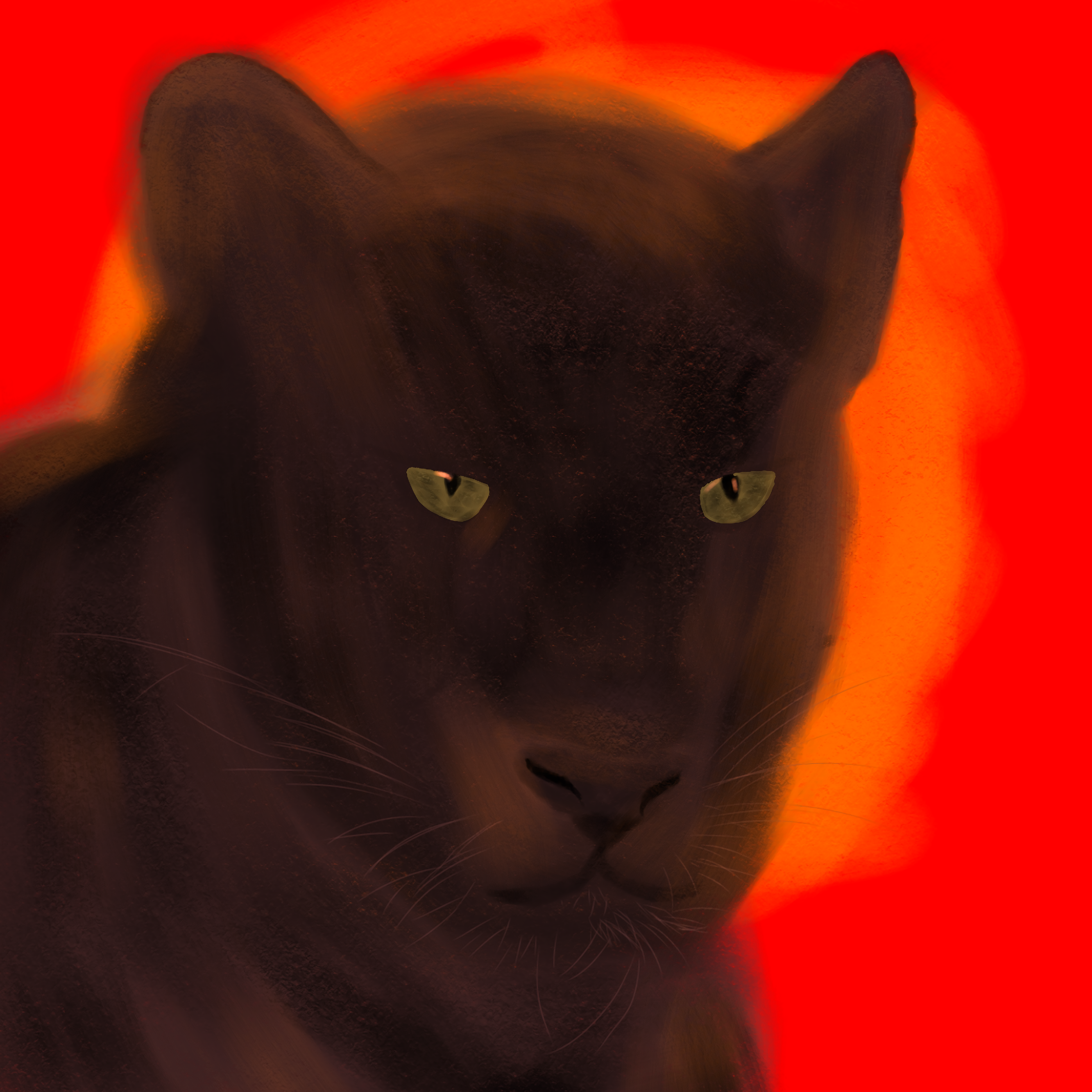 rayenari, animal, animal ears, animal nose, big cat, black fur, black panther, cat, cat ears, cat nose