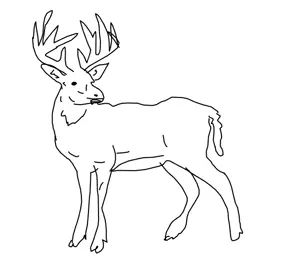Screenshot 2026-08-24 170939.png