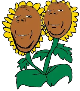 HD_Twin_Sunflower.png