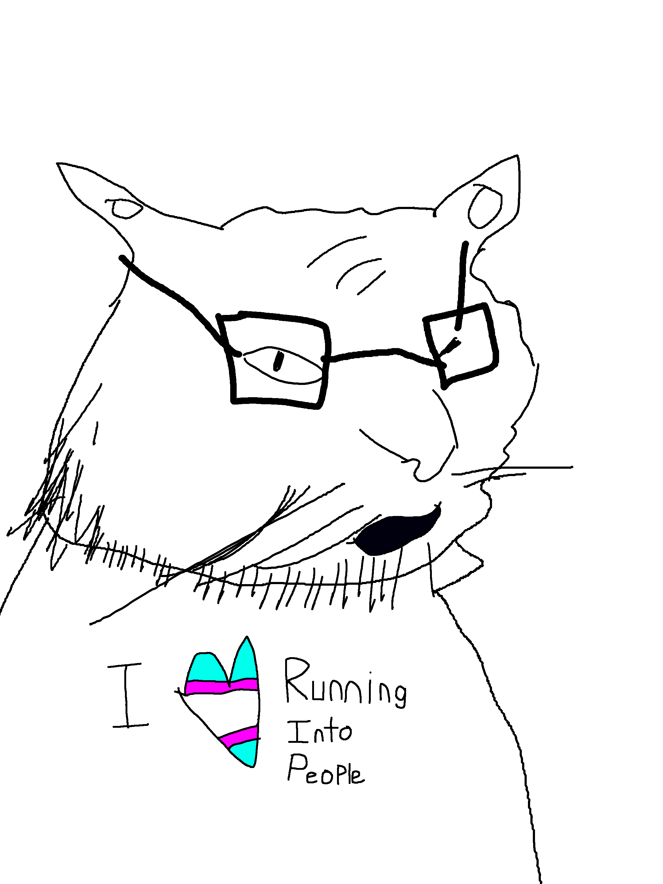 my irls cat