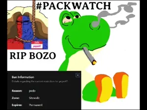 Video Project 24.mp4