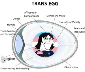 dsd-chan.png