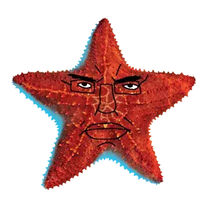 sea star.png