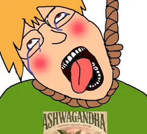fact attack adventures soyjak.png