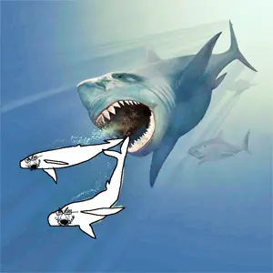 megalodon-pursuing-two-eobalaenoptera-whales-karen-carr-vmnh-cc-by-3-0-2--1 (1).png