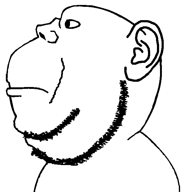 impish soyak ears, impish side ears, 1soyjak, bald, chin, closed mouth, double chin, ear, fat, looking to the left