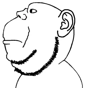 Untitled2037_20260828161453.png