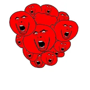 rasberryson.jpg