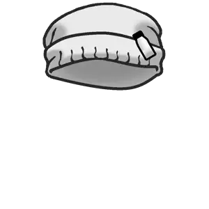 beanie.png
