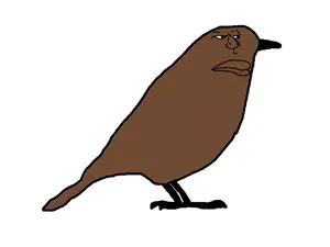 blue-bird-profile-7707337-782848957.jpg