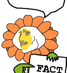 Titanlum Fact.png