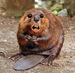 Olirwa.jpg