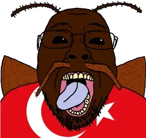 turknigger3.png