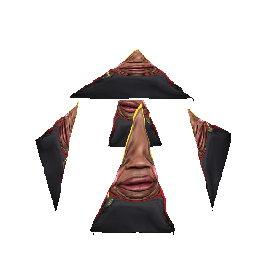 hunky, alicia, fat alicia, hunky twink sex machine, hunky twink sex machine, þºª§ĵ²gɣl·l🤣🤣🤣, 1 year on bald men with glasses website, 3dgifmaker, black eyes, black skin