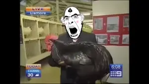 bbc slvt dies from rectal prolapse at age 69.mp4