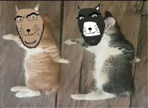cobson, cobcat, 2soyjaks, animal, black eyes, cat, cat ears, ear, ears, full body